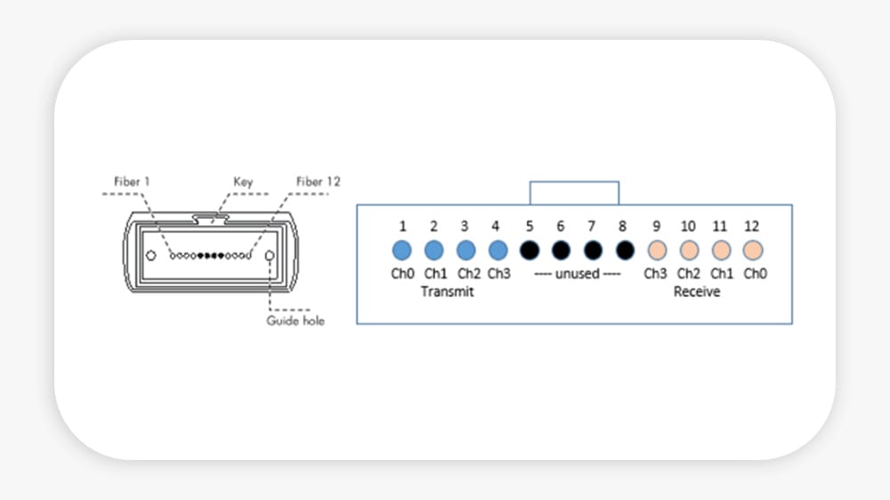 pin MPO channel assignment